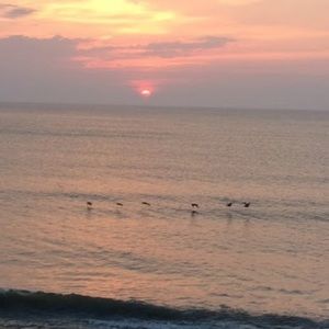 Meet your Posher, Maggie